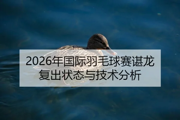 2026年国际羽毛球赛谌龙复出状态与技术分析