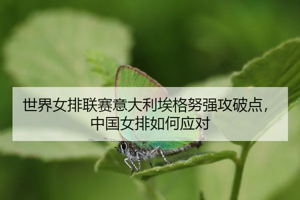 shi-jie-nv-pai-lian-sai-yi-da-li-ai-ge-nu-qiang-gong-po-dian-zhong-guo-nv-pai-ru-he-ying-dui-3-906.jpg