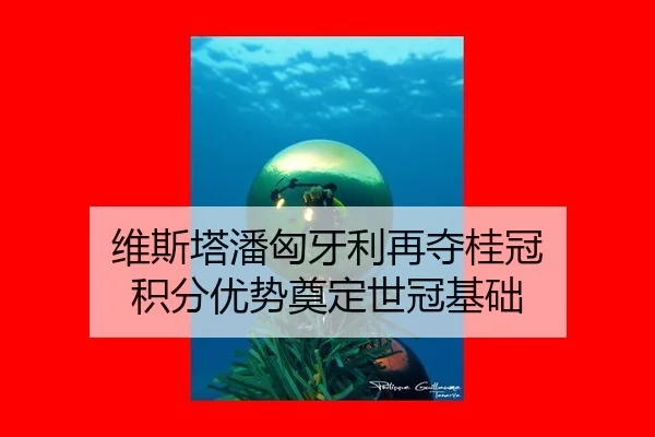 wei-si-ta-pan-xiong-ya-li-zai-duo-gui-guan-ji-fen-you-shi-dian-ding-shi-guan-ji-chu-3-535.jpg