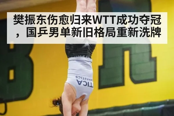 樊振东伤愈归来WTT成功夺冠，国乒男单新旧格局重新洗牌